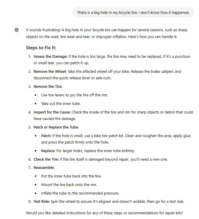 ChatGPT on what to do with a hole in your bike tyre.